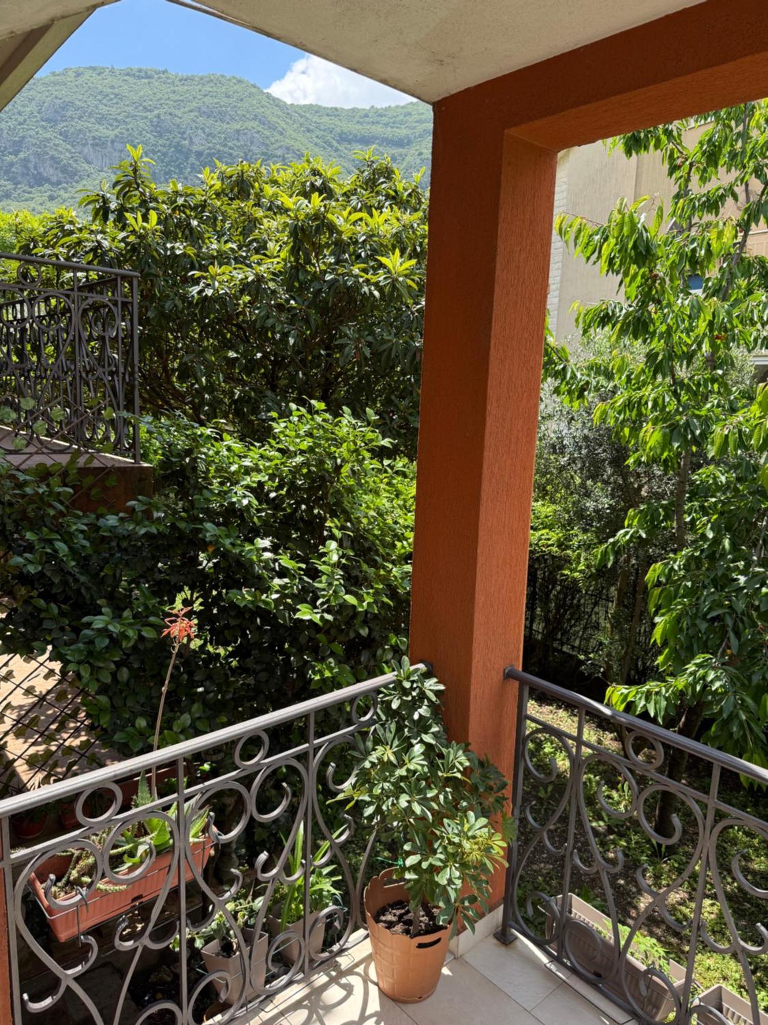 Apartment Atina Kotor Exterior photo
